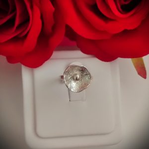 Anillos